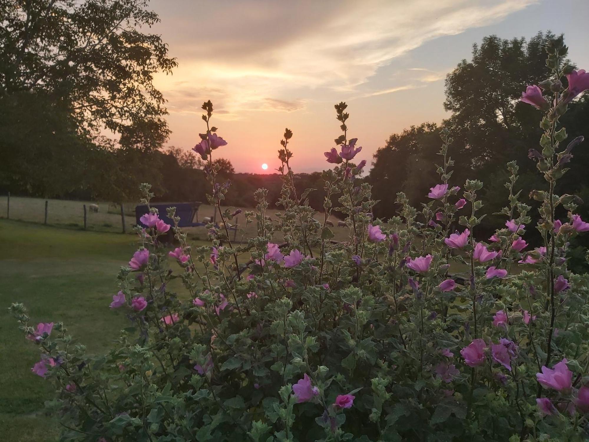 ブース Le Pre De La Rue Bed & Breakfast エクステリア 写真